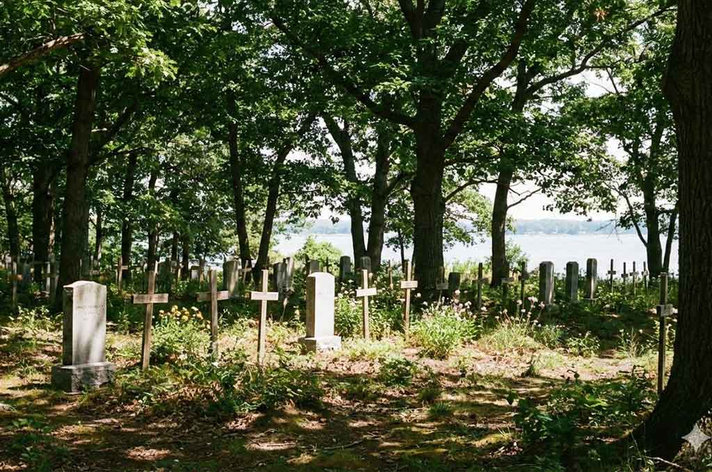 L'Île des Oubliés qui se Réveille